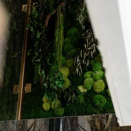 아파트 Nap Maison D'or *